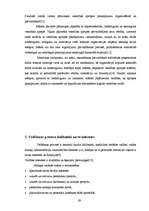 Referāts 'Māsu vadītāja darba stils', 29.