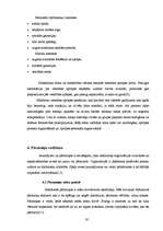 Referāts 'Māsu vadītāja darba stils', 30.