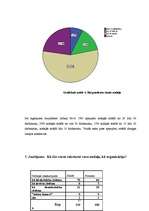 Referāts 'Māsu vadītāja darba stils', 37.