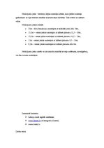 Konspekts 'Autoceļu aizsardzība. Aizsargjosla un nodalījuma josla', 2.