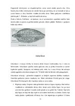 Referāts 'Medicīnas parazitoloģija', 13.