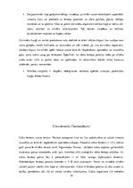 Referāts 'Medicīnas parazitoloģija', 18.