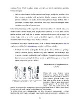 Referāts 'Medicīnas parazitoloģija', 19.