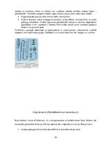 Referāts 'Medicīnas parazitoloģija', 20.