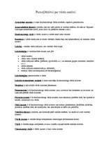 Konspekts 'Vārda nozīme', 1.