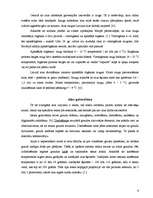 Referāts 'Alus, tā pasniegšana pie dažādiem ēdieniem, un alus lietošana dažādu ēdienu paga', 7.