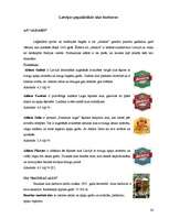 Referāts 'Alus, tā pasniegšana pie dažādiem ēdieniem, un alus lietošana dažādu ēdienu paga', 26.