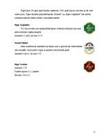 Referāts 'Alus, tā pasniegšana pie dažādiem ēdieniem, un alus lietošana dažādu ēdienu paga', 29.