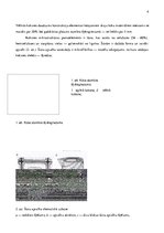 Referāts 'Koksne būvniecībā', 4.