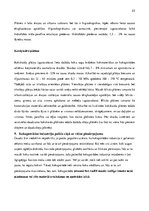 Referāts 'Koksne būvniecībā', 23.