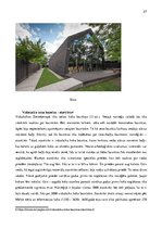 Referāts 'Koksne būvniecībā', 27.