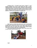 Referāts 'Rotaļu un spēļu laukums X pagastā', 5.