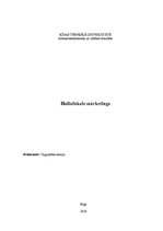 Referāts 'Holistiskais mārketings', 1.