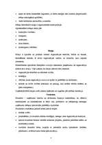 Referāts 'Uzņēmuma uzbūve un vadība', 4.