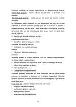 Referāts 'Uzņēmuma uzbūve un vadība', 10.