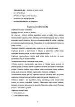 Referāts 'Uzņēmuma uzbūve un vadība', 11.