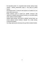 Referāts 'Uzņēmuma uzbūve un vadība', 13.