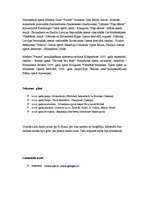 Referāts 'Egils Siliņš', 3.