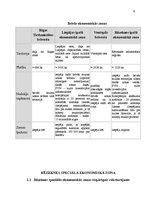 Referāts 'Brīvās ekonomiskās zonas Latvijā', 4.