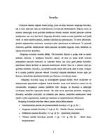 Referāts 'Antīkā filosofija', 2.