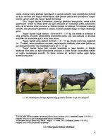 Referāts 'Nobarojamo liellopu barības devu aprēķins ZS "Bullīši"', 8.