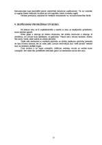 Biznesa plāns 'Biznesa plāns', 13.