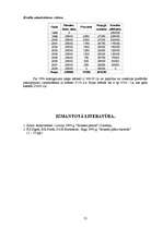 Biznesa plāns 'Biznesa plāns', 21.