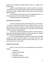 Referāts 'Konstitūcija kā valsts pamatlikums', 10.