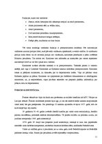 Referāts 'Konstitūcija kā valsts pamatlikums', 11.