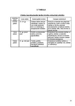 Referāts 'Konstitūcija kā valsts pamatlikums', 19.