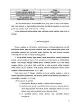 Referāts 'Ekonomikas nozares metaforisku terminu atveides problēmas latviešu valodā', 9.