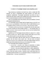 Referāts 'Ekonomikas nozares metaforisku terminu atveides problēmas latviešu valodā', 19.