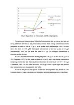 Referāts 'Comparison of Total Phosphorus, Phosphate, Chlorophyll and Oxygen Concentrations', 14.