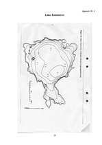 Referāts 'Comparison of Total Phosphorus, Phosphate, Chlorophyll and Oxygen Concentrations', 19.