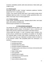 Diplomdarbs 'Noliktavas ar biroja telpām būvniecība', 18.