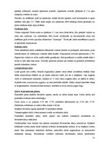 Diplomdarbs 'Noliktavas ar biroja telpām būvniecība', 53.