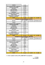 Biznesa plāns 'Biznesa plāns autostāvvietai un velosipēdu stāvvietai SIA "Jūties drošs"', 22.