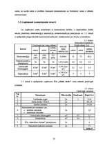 Biznesa plāns 'Biznesa plāns autostāvvietai un velosipēdu stāvvietai SIA "Jūties drošs"', 28.