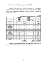 Biznesa plāns 'Biznesa plāns autostāvvietai un velosipēdu stāvvietai SIA "Jūties drošs"', 29.