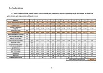 Biznesa plāns 'Biznesa plāns autostāvvietai un velosipēdu stāvvietai SIA "Jūties drošs"', 40.