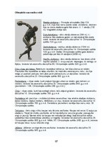 Referāts 'Sengrieķu kultūra', 17.