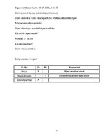 Prakses atskaite 'Aprūpes plāns terapijā', 7.