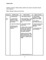 Prakses atskaite 'Aprūpes plāns terapijā', 13.