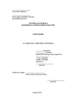 Referāts 'AS „airBaltic” mārketinga stratēģija', 1.