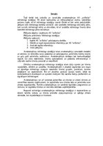 Referāts 'AS „airBaltic” mārketinga stratēģija', 4.