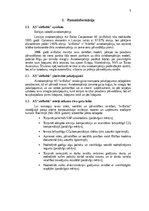 Referāts 'AS „airBaltic” mārketinga stratēģija', 5.