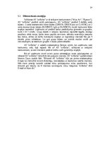 Referāts 'AS „airBaltic” mārketinga stratēģija', 14.