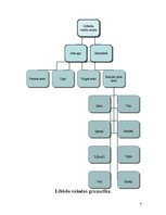 Referāts 'Lībiešu valodas attīstība un rakstība', 4.