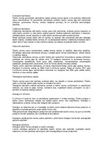 Konspekts 'Civiliesību pamati', 21.