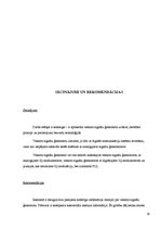 Referāts 'Vektora signālu ģeneratora uzbūve un darbības principi un pielietojumi bezvadu t', 19.